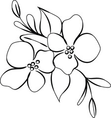 Elegant Line Art Floral Design Two Flowers with Leaves