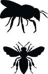 bee silhouette