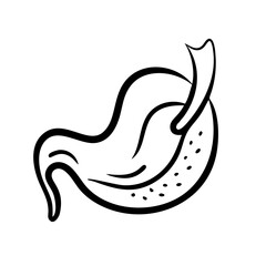 Obraz premium hand-drawn sketch human intestine illustration