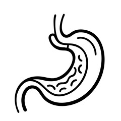 Naklejka premium hand-drawn sketch human intestine illustration