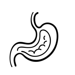 Obraz premium hand-drawn sketch human intestine illustration