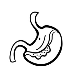 Obraz premium hand-drawn sketch human intestine illustration