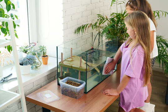 Two children clean a fish tank at home while learning about aquatic life and responsibility during a sunny afternoon