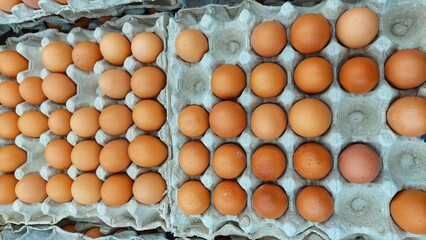This is an overhead shot of several dozen brown eggs neatly arranged in grey paper egg cartons. There are at least four rows of eggs visible, with each carton holding multiple eggs.