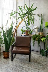 A fragment of the interior with a variety of indoor plants and plaster sculptures. Urban jungle concept. Biophilia design.