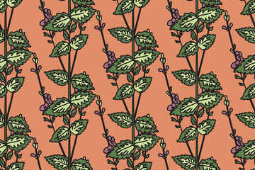 Botanical floral seamless pattern with wildflowers vector illustration. Repeating medicinal plants...