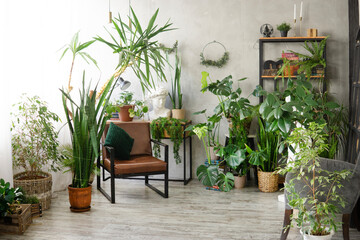 A fragment of the interior with a variety of indoor plants and plaster sculptures. Urban jungle concept. Biophilia design.