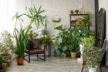 Fototapeta premium A fragment of the interior with a variety of indoor plants and plaster sculptures. Urban jungle concept. Biophilia design.