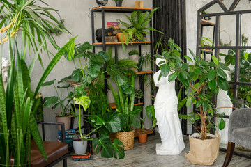 A fragment of the interior with a variety of indoor plants and plaster sculptures. Urban jungle concept. Biophilia design.