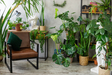 A fragment of the interior with a variety of indoor plants and plaster sculptures. Urban jungle concept. Biophilia design.