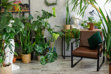 A fragment of the interior with a variety of indoor plants and plaster sculptures. Urban jungle concept. Biophilia design.
