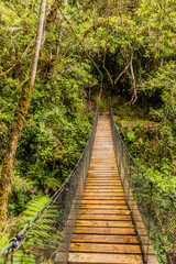 Obraz premium Hanging bridge in Yanachaga–Chemillen National Park, Peru