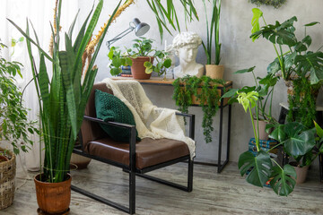 A fragment of the interior with a variety of indoor plants and plaster sculptures. Urban jungle concept. Biophilia design.