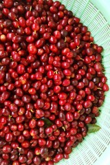 Fresh coffee bean in basket