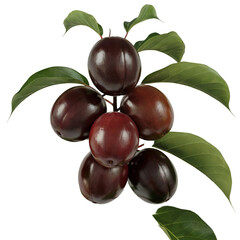  A photograph of five ripe Mirabelle Plums clustered tightly along a slender brown stem against a transparent background