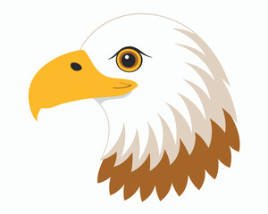 Fototapeta premium a realistic watercolor of a bald eagle with its white head and sharp eyes