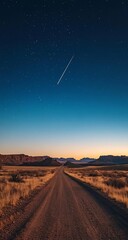 Desert Road with Starry Night, and Journey.