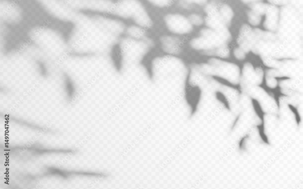 Wall mural shadow overlay from a tree branch isolated on a transparent background.