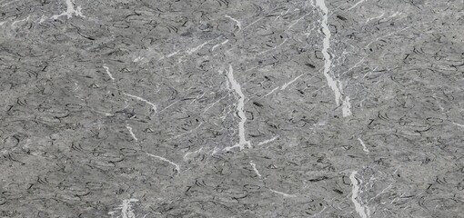 Gray stone with white veining