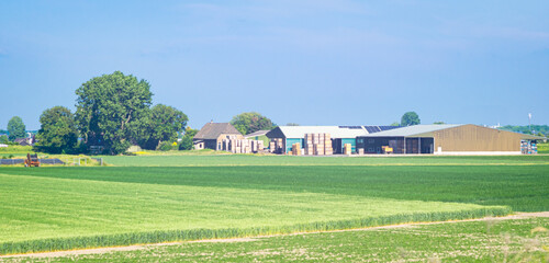 Scenic panoramic view of a farm in the Netherlands