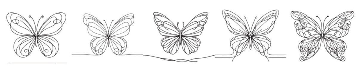 continuous line style butterfly vector