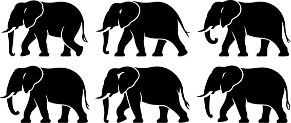A set of elephant silhouettes and line art Vector illustration.