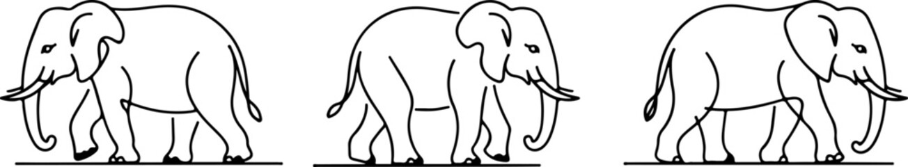 A set of elephant silhouettes and line art Vector illustration.