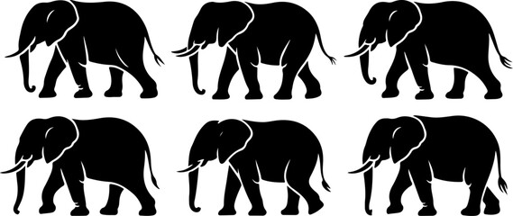 A set of elephant silhouettes and line art Vector illustration.