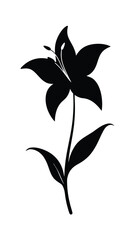 Elegant Black Lily Flower Silhouette