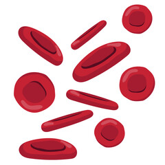 Red Blood Cells Illustration