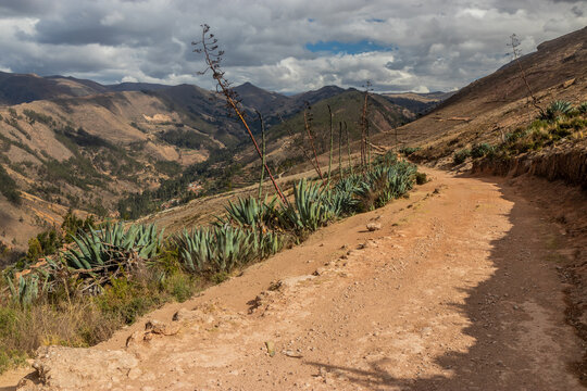 Inca road (Qhapaq Nan) near Tarma town, Peru