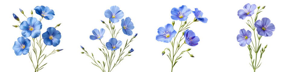 Vibrant blue flowers blooming in nature