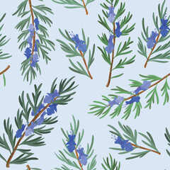 rosemary seamless pattern, on a blue background, rosemary plant and flowers, drawing clipart, Vector Illustration