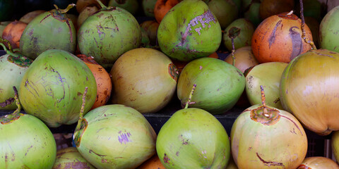 heap of coconut sold in market