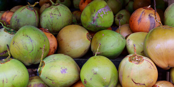 heap of coconut sold in market