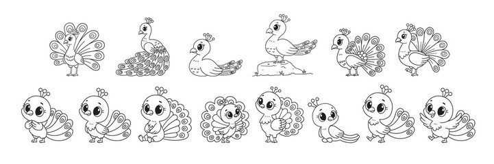 Cute Peacock Coloring line