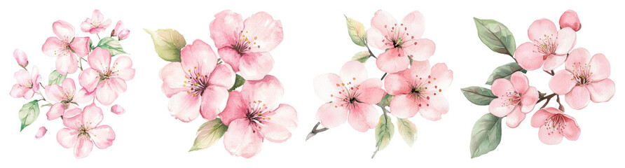 Obraz premium PNG Delicate watercolor pink blossoms, element set on transparent background