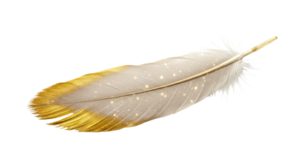 Elegant light gray feather with gold accents isolated PNG with Transparent Background