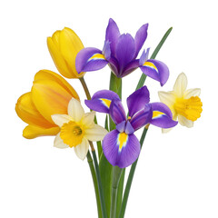 Spring bouquet of tulips daffodils and irises isolated on transparent background