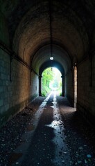Fototapeta premium A dark, arched carriage tunnel, damp with age, shows signs of wear and time; light streams in from the distant opening, revealing texture and depth , construction, subterranean