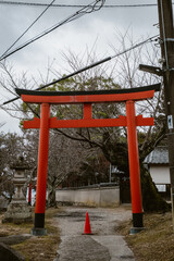 Japanese Torii Gates