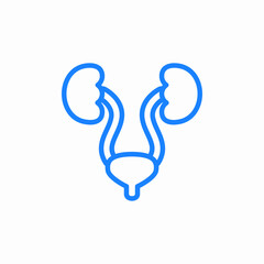 urology organs icon sign vector