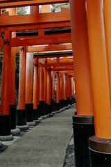 Japanese Torii Gates