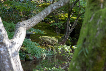 Quiet stream flowing through mossy terrain and shaded trees with stone lantern in traditional Japanese garden