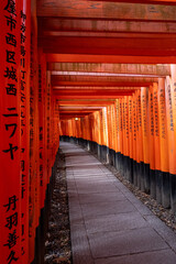 Japanese Torii Gates