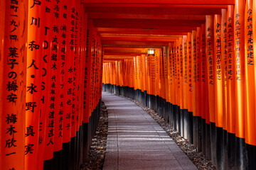 Japanese Torii Gates