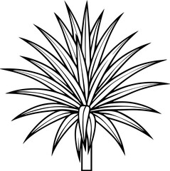 yucca plant outline line art illustration, coloring book page