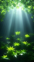 Obraz premium Sunbeams illuminate a forest floor strewn with vibrant green maple leaves, creating a mystical, ethereal scene