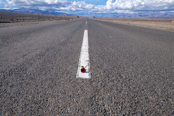 Desert rose and a stormy marriage