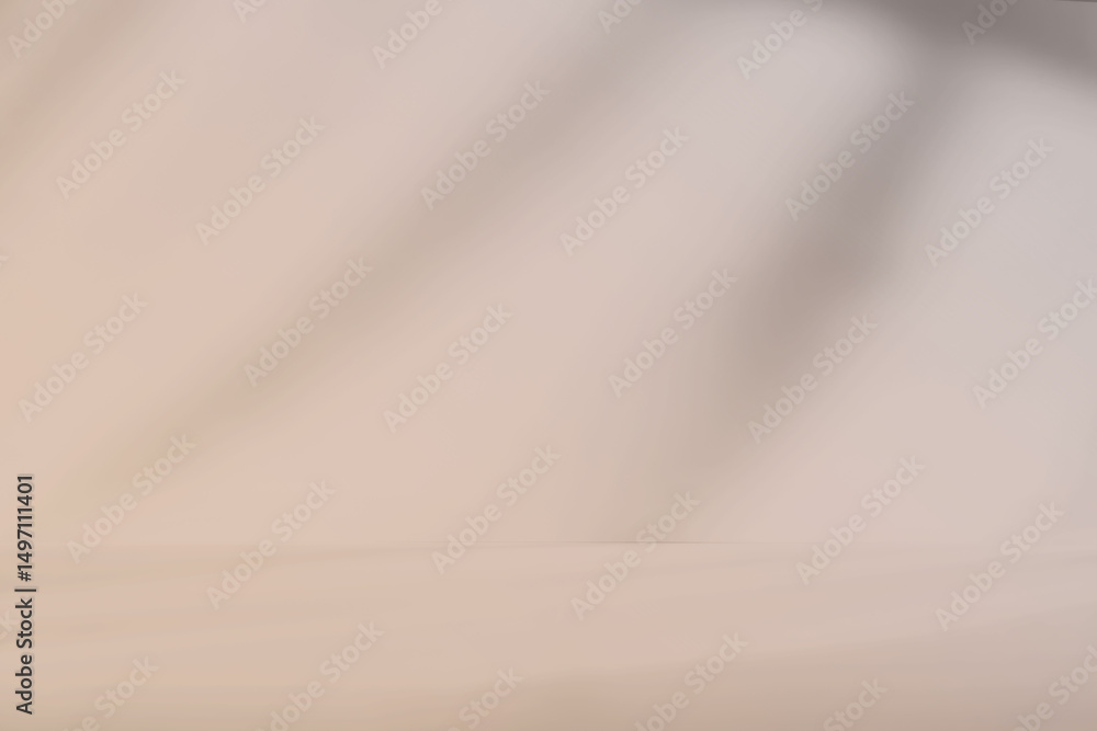 Poster Abstract white studio background with shadows of window. Empty 3d room. Display product with blurred backdrop.